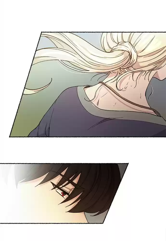 Like Wind On A Dry Branch Chapter 43