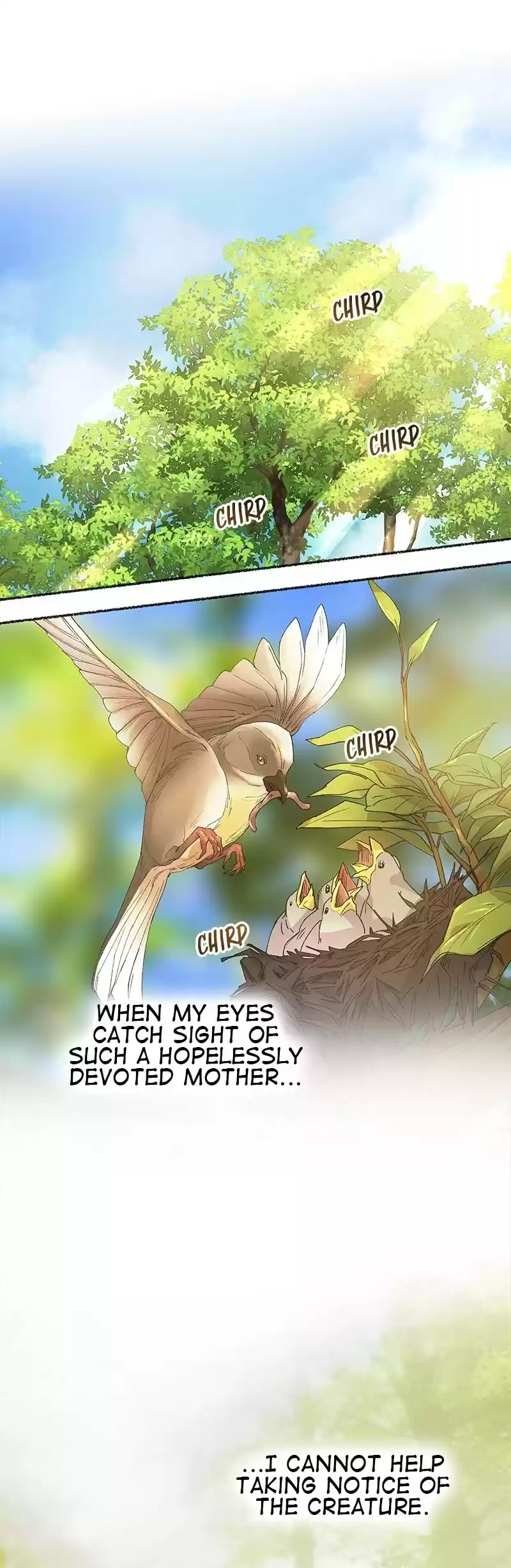 Like Wind On A Dry Branch Chapter 43