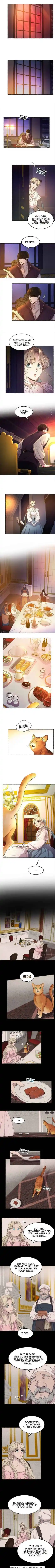 Like Wind On A Dry Branch Chapter 50