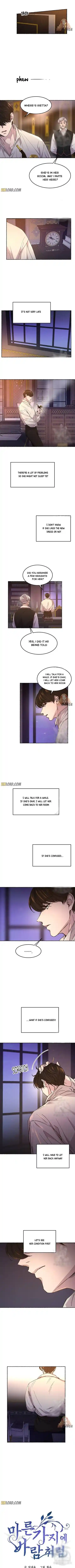 Like Wind On A Dry Branch Chapter 61