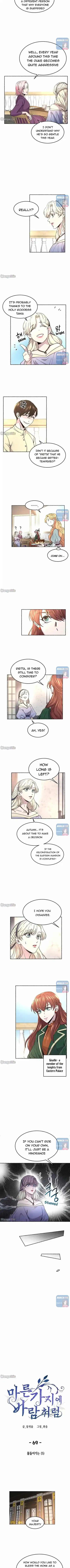 Like Wind On A Dry Branch Chapter 69