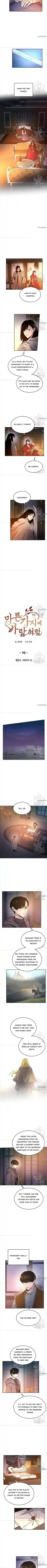 Like Wind On A Dry Branch Chapter 79