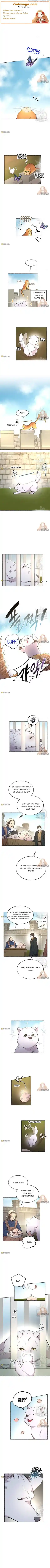 Like Wind On A Dry Branch Chapter 80