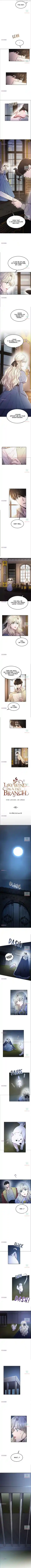 Like Wind On A Dry Branch Chapter 81