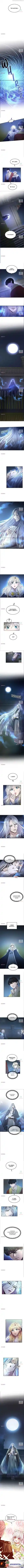 Like Wind On A Dry Branch Chapter 81