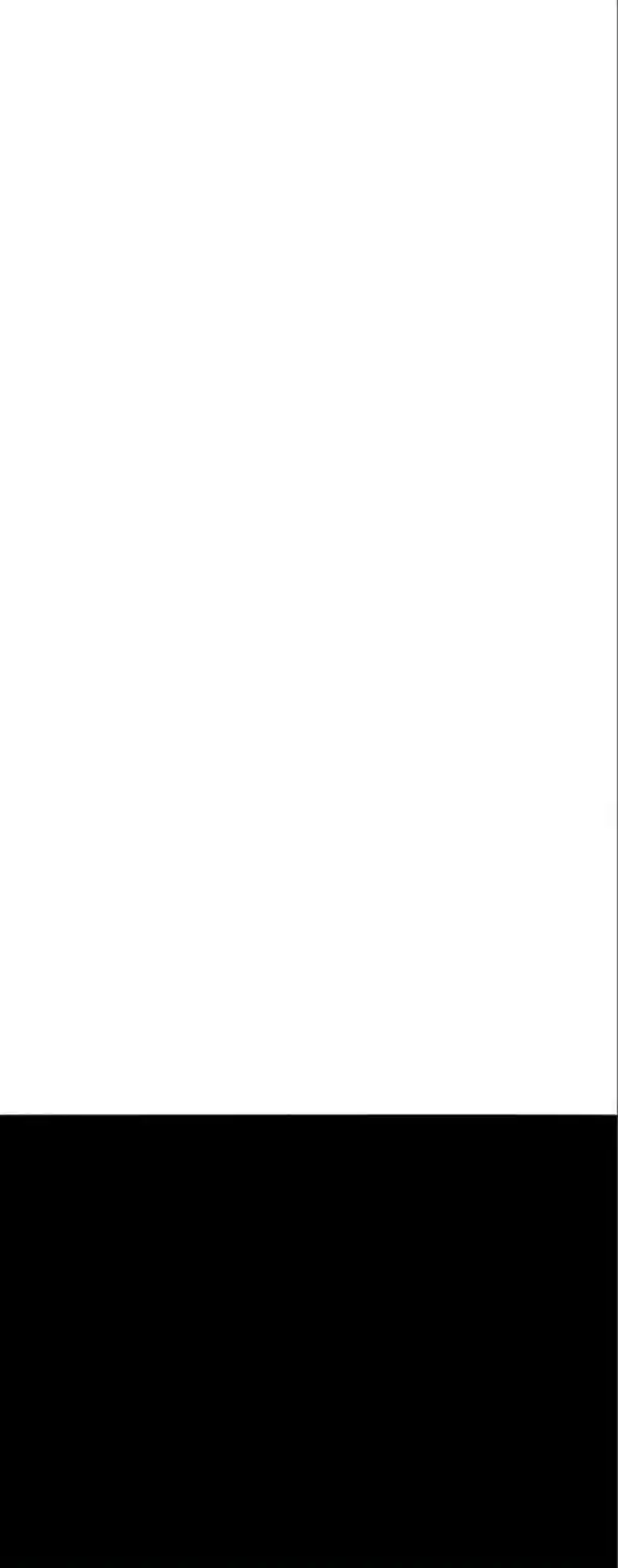 Limit Breaker Chapter 135