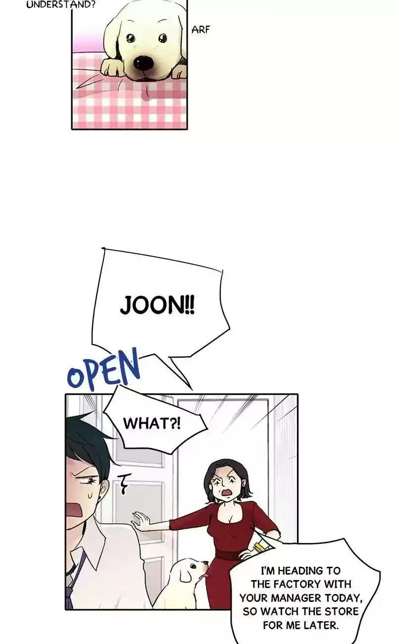 Live or Not Chapter 13