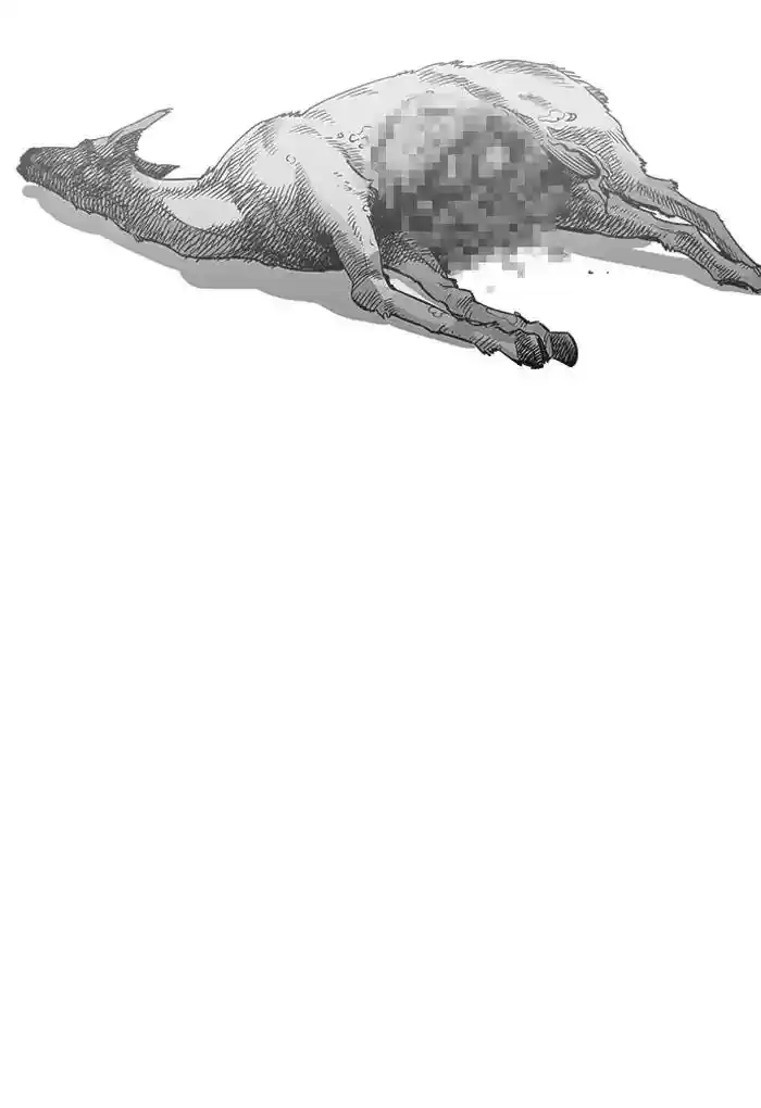 Lookism Chapter 202: Ep.202: