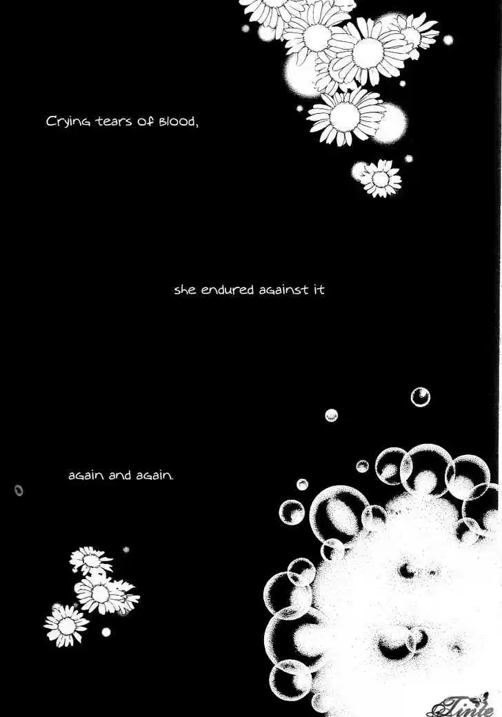 Love in the Mask 108