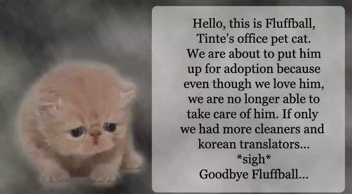 Love in the Mask 123