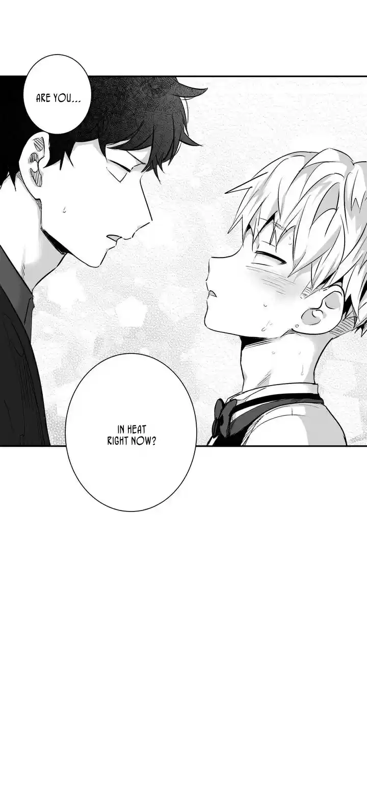 Love is an Illusion Ch. 1