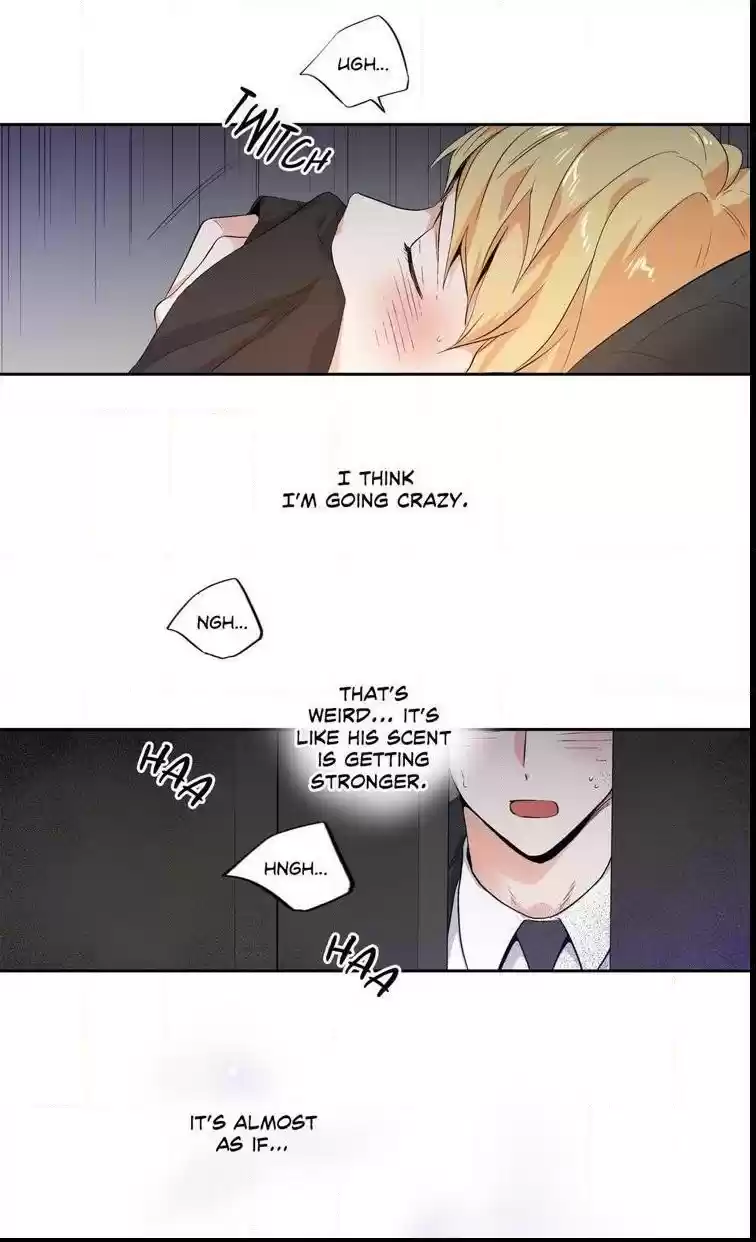 Love Is An Illusion Ch.70