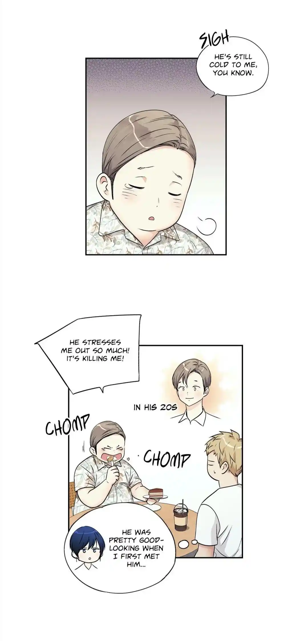 Love is an Illusion Chapter 95