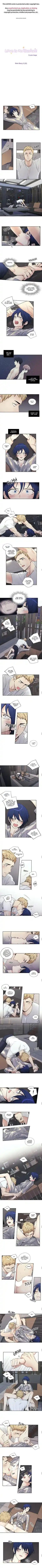 Love is an Illusion Chapter 96