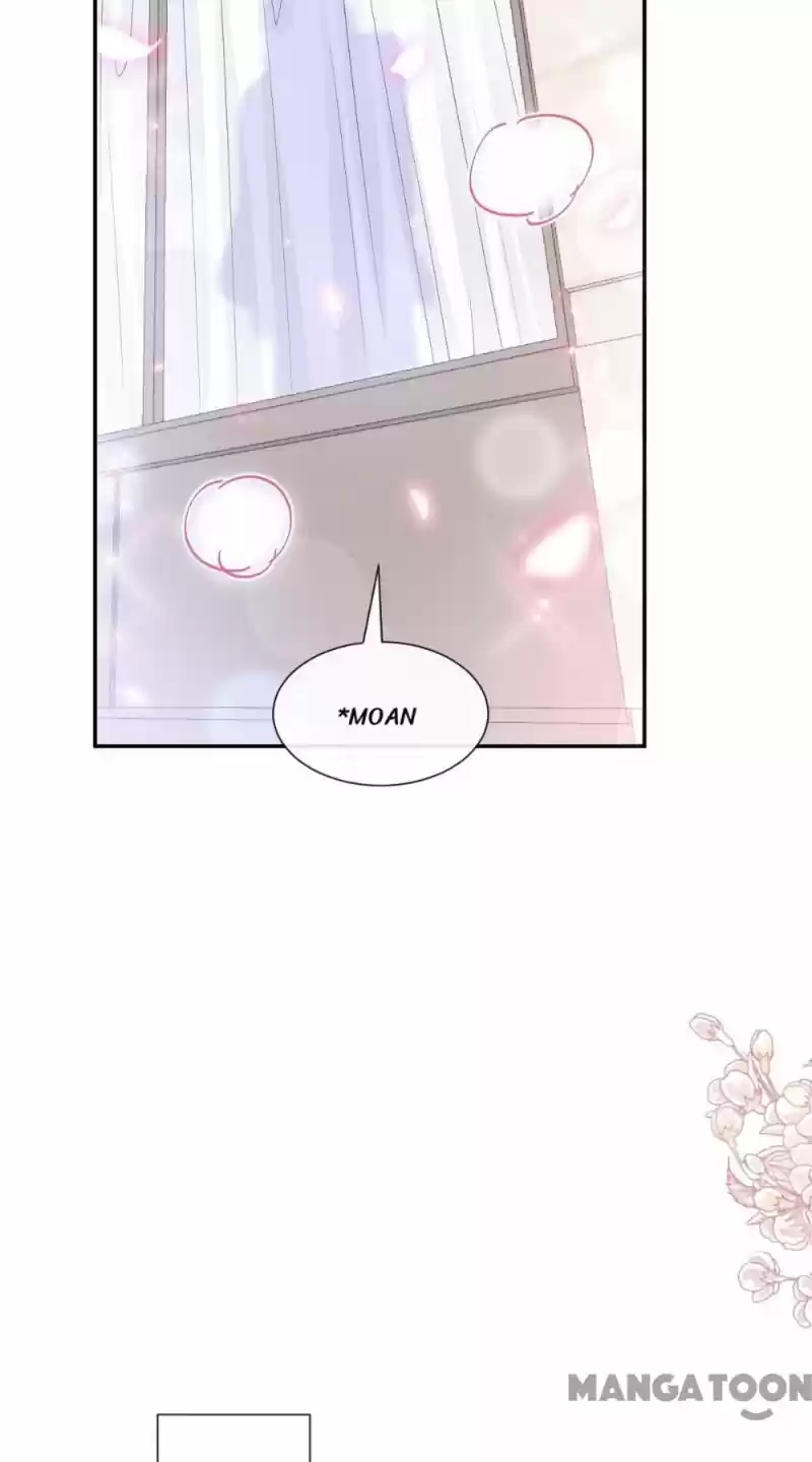 Love Me Gently, Bossy Ceo Chapter 211