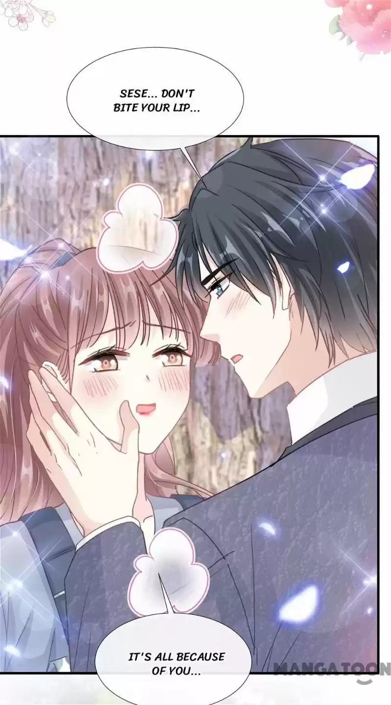 Love Me Gently, Bossy Ceo Chapter 228