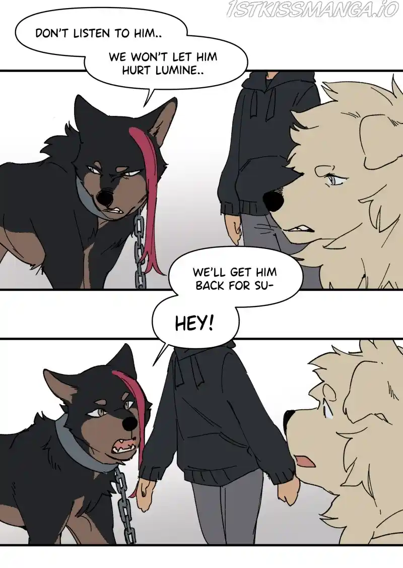 Lumine Chapter 159
