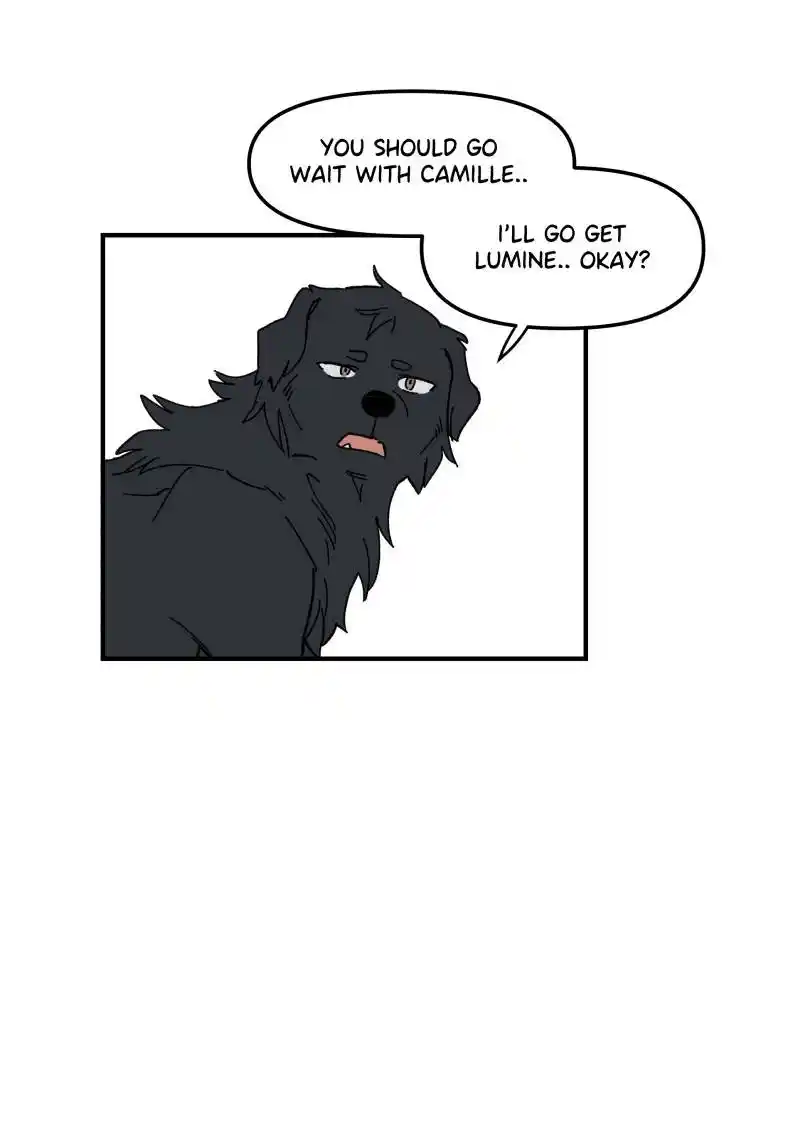 Lumine Chapter 165