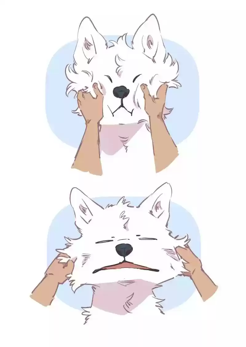 LUMINE Chapter 56.5: