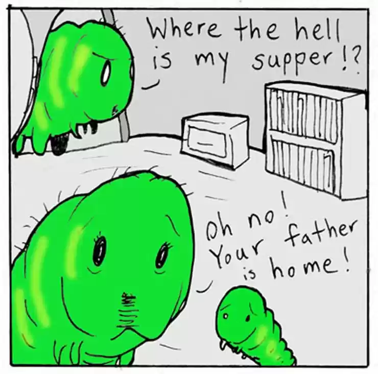 Lunarbaboon 136