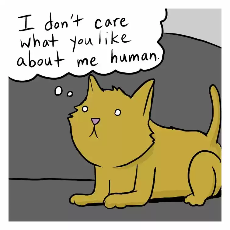 Lunarbaboon 323