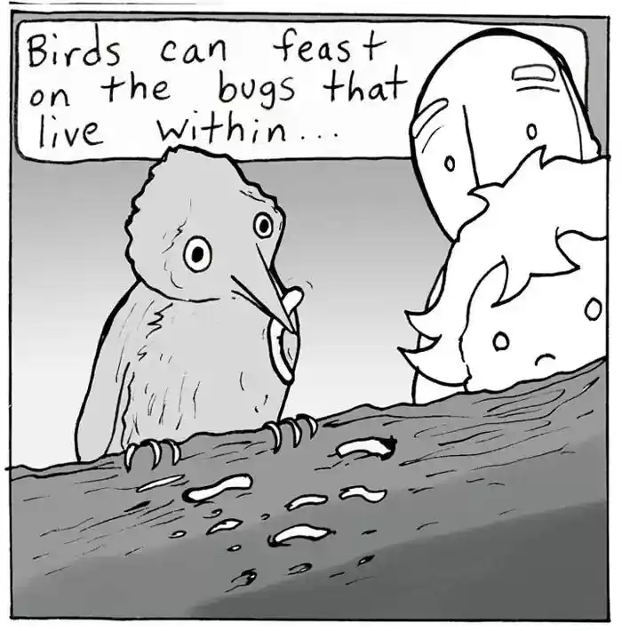 Lunarbaboon Chapter 590: Ep.589: