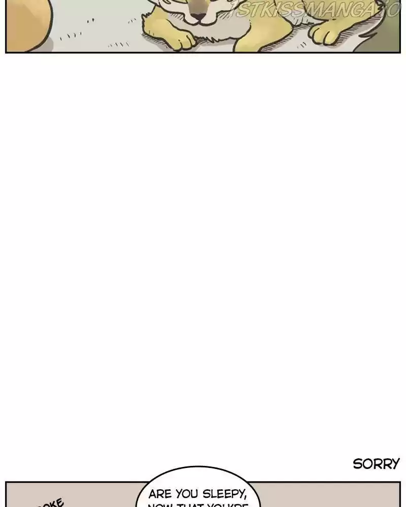 Mage Again Chapter 25.5