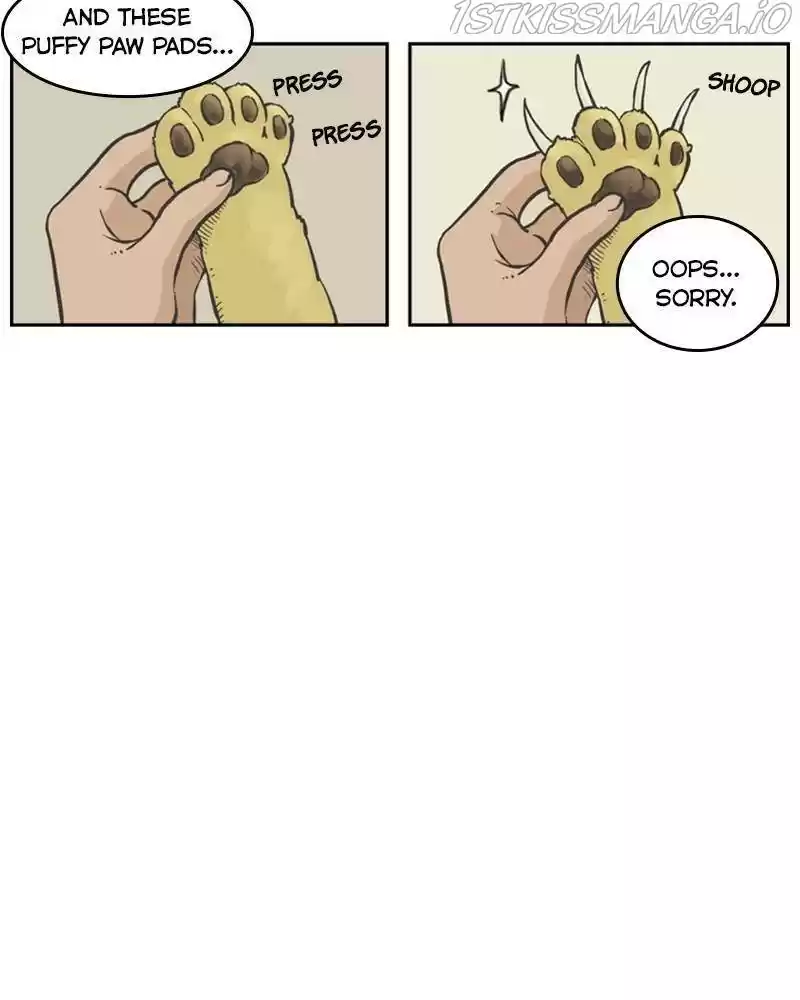 Mage Again Chapter 25.5