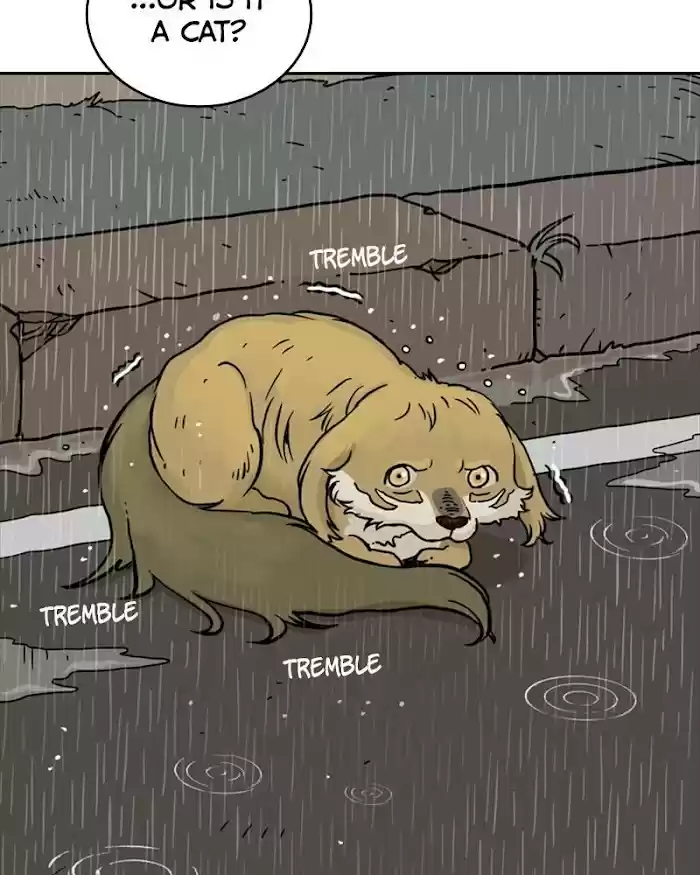 Mage Again Chapter 26