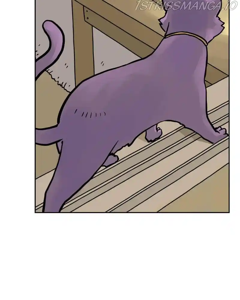 Mage Again Chapter 27