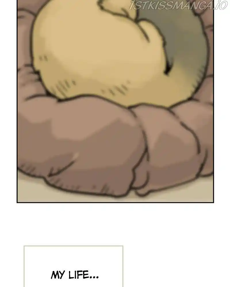 Mage Again Chapter 30