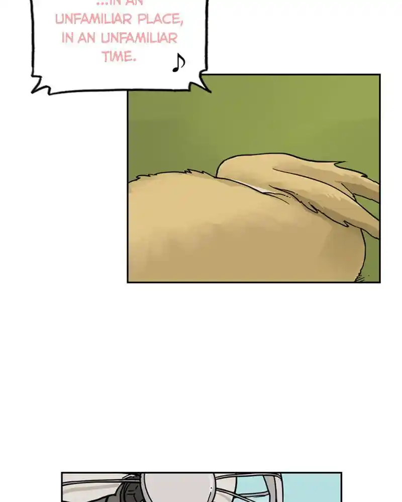 Mage Again Chapter 39