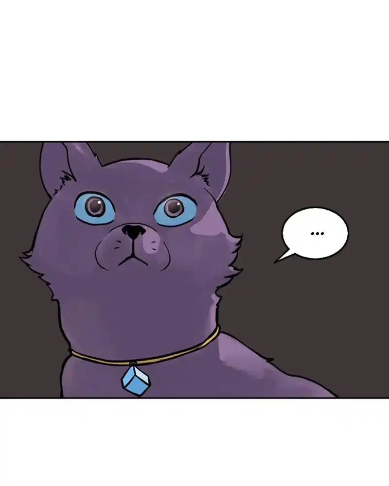 Mage Again Chapter 47