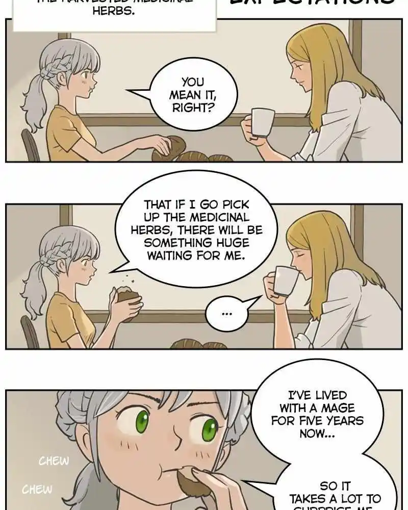 Mage Again Chapter 75.5