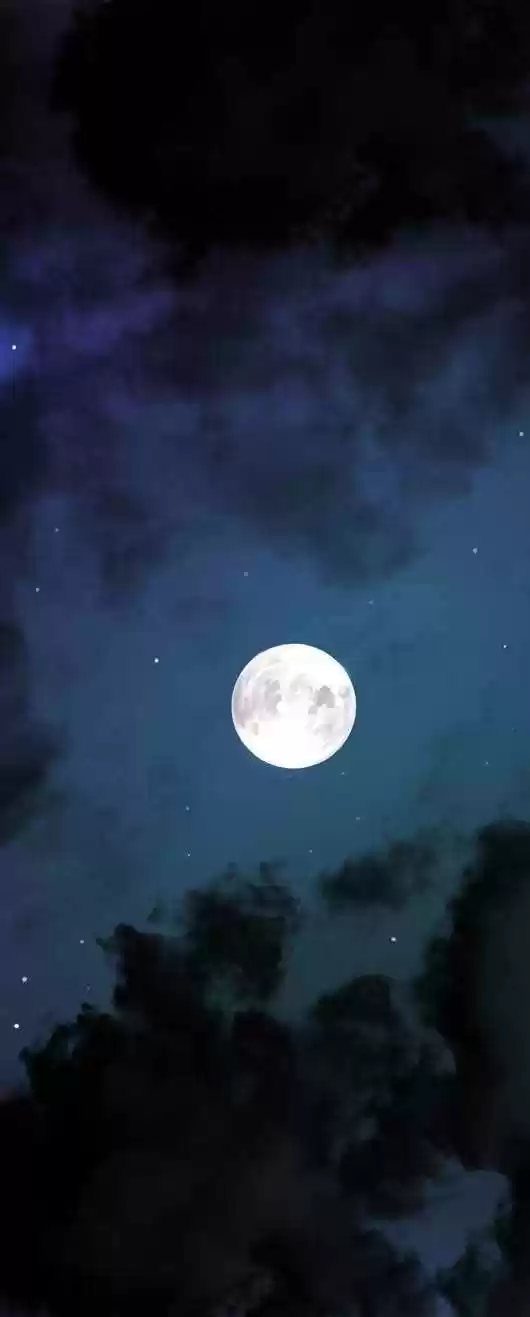 Magician (KIM Sarae) 19