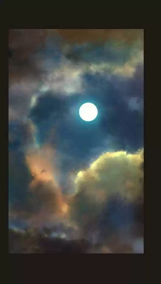 Magician (KIM Sarae) 33