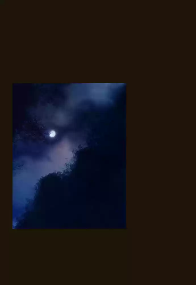 Magician (KIM Sarae) 81