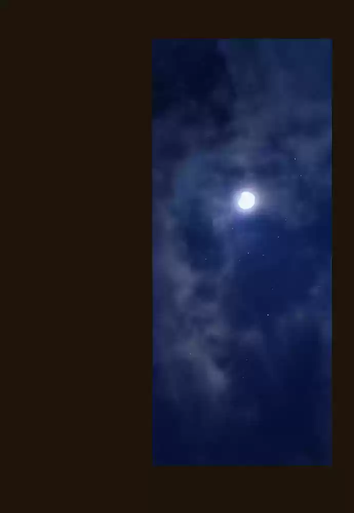 Magician (KIM Sarae) 81