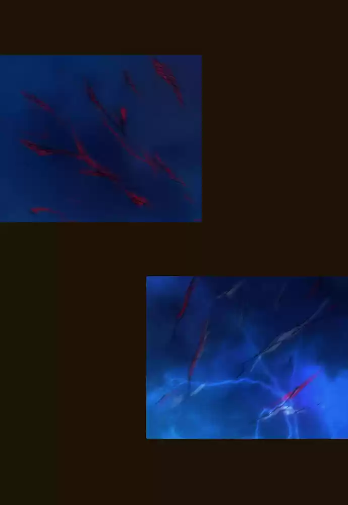 Magician (KIM Sarae) Magician 254