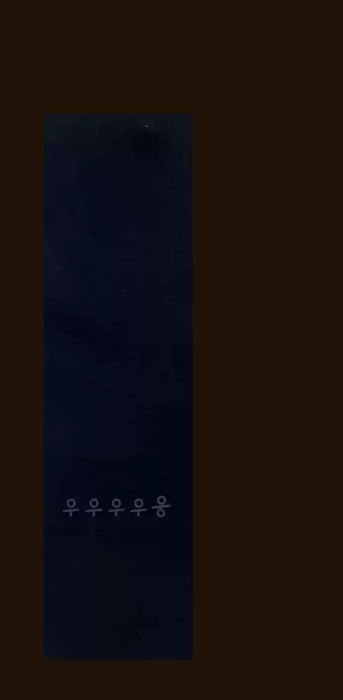 Magician (KIM Sarae) Magician 356