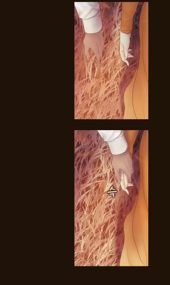 Magician (KIM Sarae) Magician 365