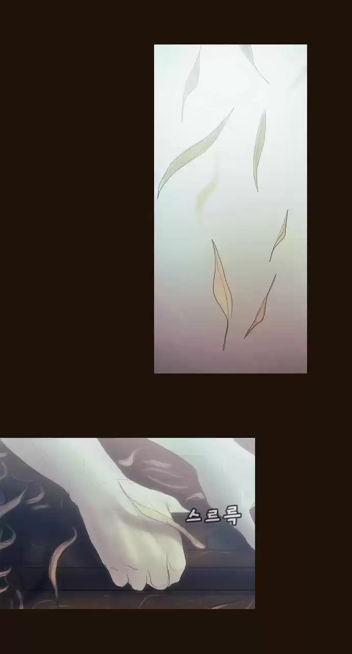 Magician (KIM Sarae) Magician 372