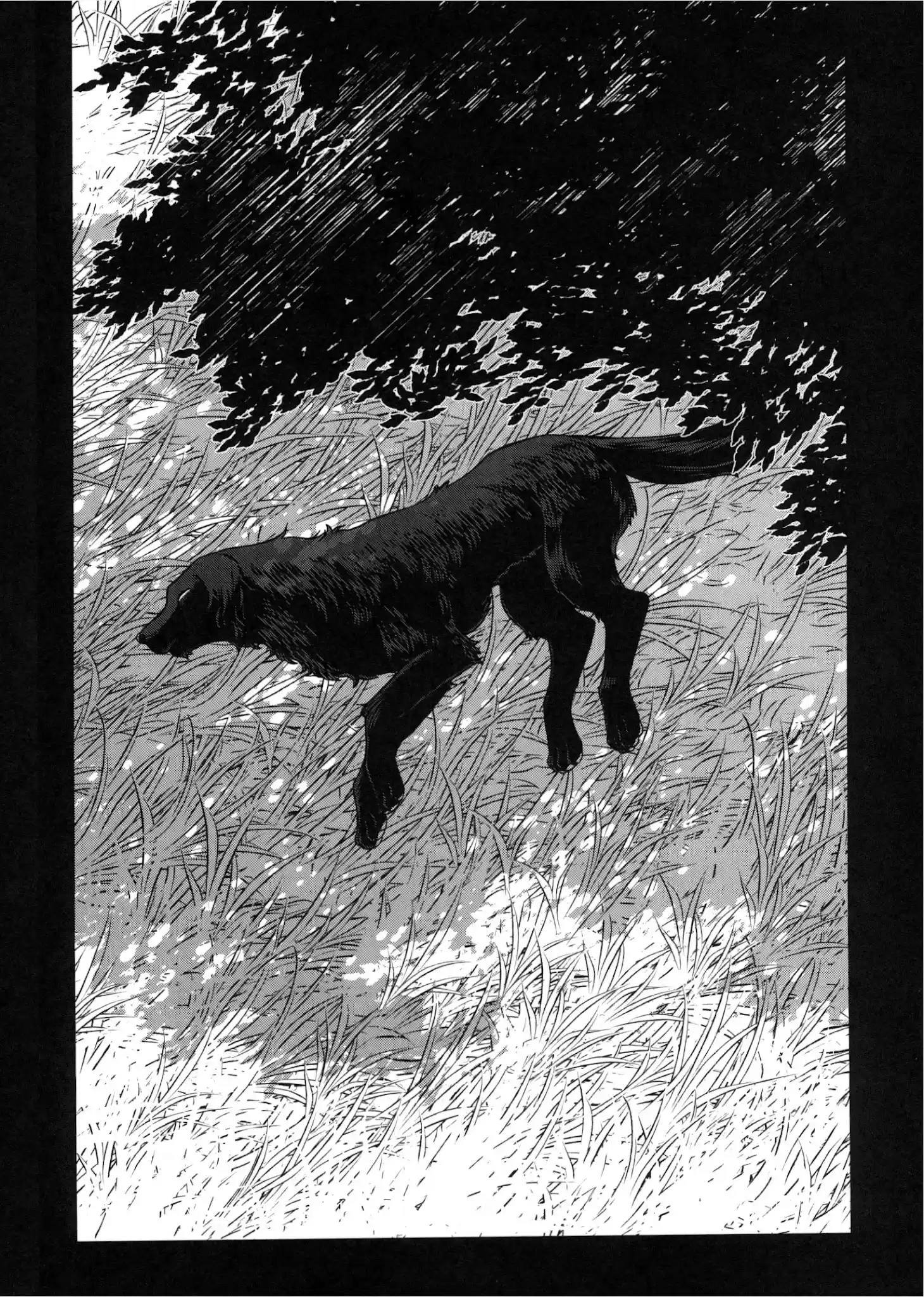 Mahou Tsukai No Yome Chapter 79.5