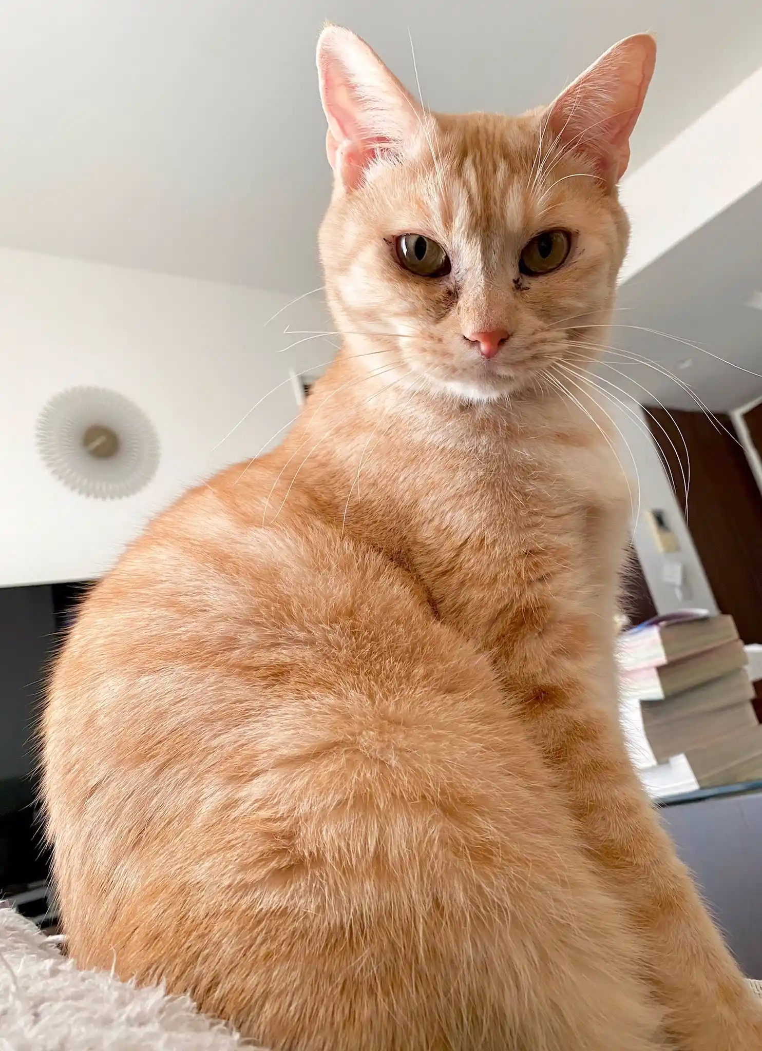 ManhwaFull Chapter 40.4 extra Chapter