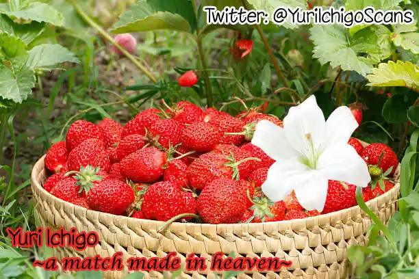 ManhwaFull Chapter 54.4