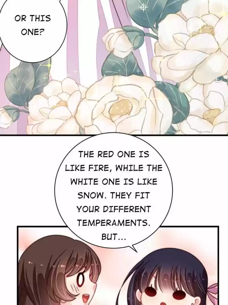 Marshal Is Jealous Everyday Chapter 205