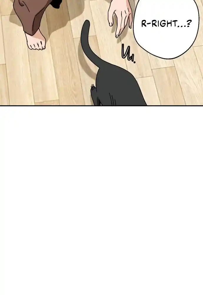 Maybe Meant to Be 20