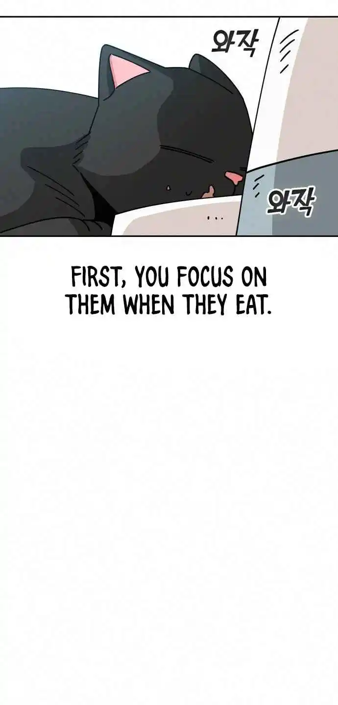 Maybe Meant to Be 26