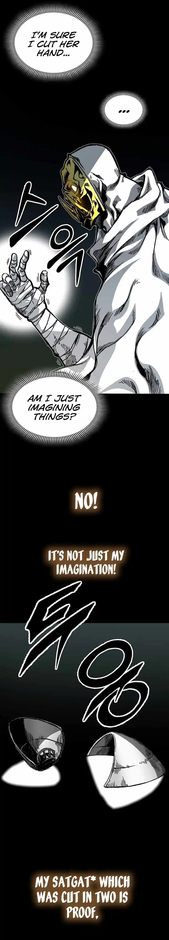 Memoir Of The King Of War Chapter 164