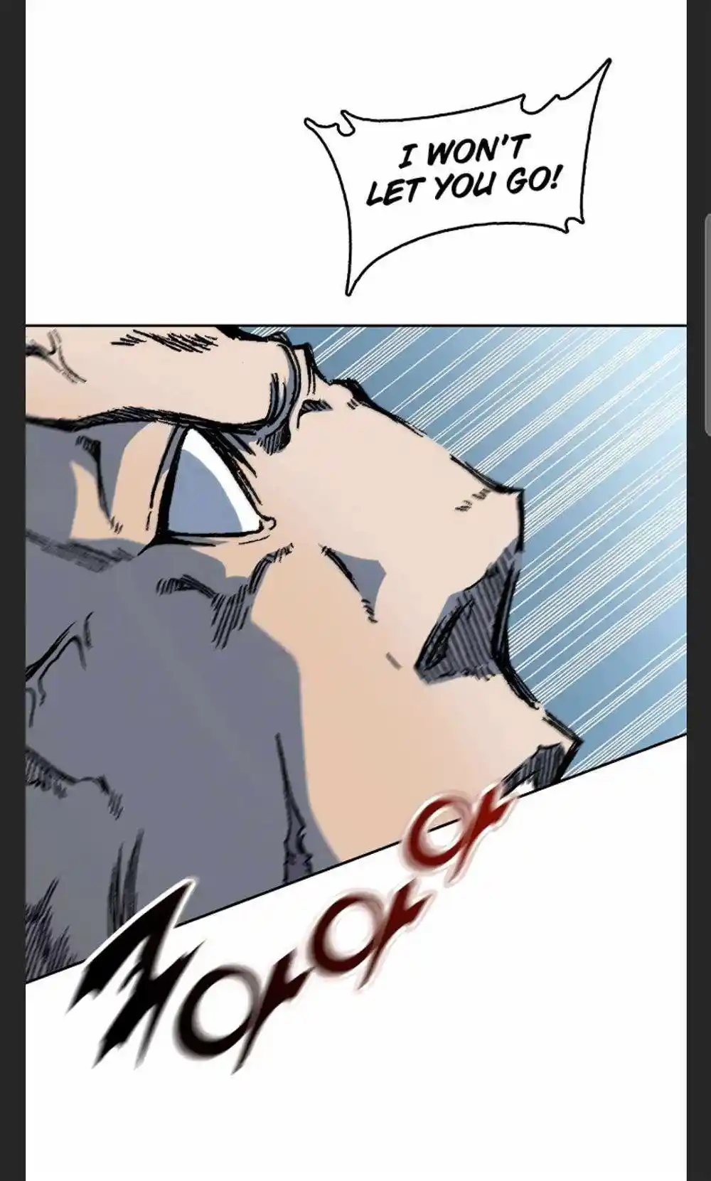 Memoir Of The King Of War Chapter 88